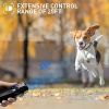 Dog Barking Control Devices